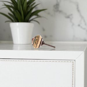 May include: A decorative cabinet knob with a floral design. The knob features a beige background with red and green floral accents. The metal screw is brown. A white cabinet and a potted plant are in the background.
