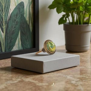 May include: A decorative cabinet knob with a brass finish and a colorful, circular design. The knob is set on a gray rectangular block, with a framed botanical print and a potted plant in the background. The knob's design features yellow, green, and blue hues.