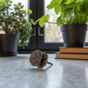 May include: A pair of antique silver-toned cabinet knobs with a floral design. The knobs are resting on a light gray surface, with a blurred background featuring potted plants and a window.
