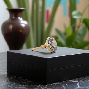 May include: A decorative cabinet knob with a gold-colored stem and a round head. The head features a white and black geometric design. The knob is resting on a black box, with a dark brown vase and greenery in the background.