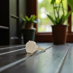 May include: A small, off-white, flower-shaped object with a thin, light brown stem lies on a dark wooden surface. The background includes potted plants and a window, suggesting a natural setting. The object appears to be a decorative element.
