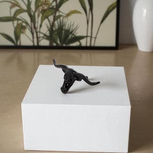 May include: A glossy black bull skull figurine rests on a white square block. The bull skull has curved horns and is positioned to the right. The background includes a framed botanical print and a white vase.