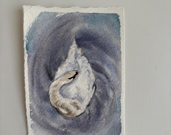 Hand-Painted Watercolour Swan Painting, Small Original Bird Art