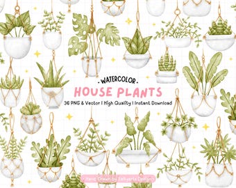 Watercolor Hanging House Plants Clipart – PNG & Vector Illustrations