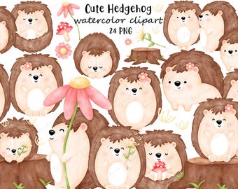 Watercolor Hedgehog Clipart Bundle – Forest Animal PNG Graphics (Digital Download)
