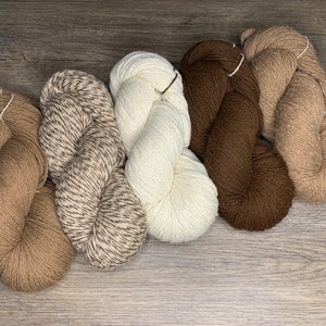 Wool Wonders Variegated Multicolored, Medium Heavy Worsted/Aran Weight Yarn  #4 for Knitting and Crocheting, 30% Australian Wool, 70% Acrylic, 4-Skein