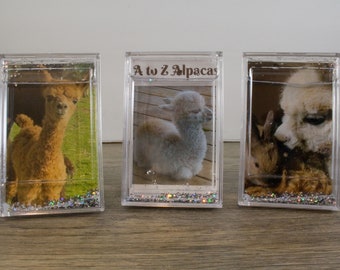 Alpaca Magnets