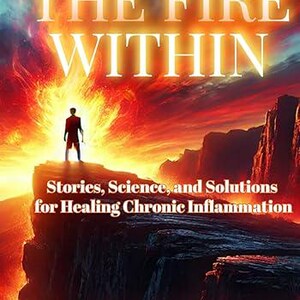 Könnte beinhalten: Buchcover mit dem Titel "THE FIRE WITHIN" in weißen Buchstaben vor einem feurigen Hintergrund. Eine Silhouette steht auf einer Klippe. Der Text darunter lautet "Stories, Science, and Solutions for Healing Chronic Inflammation."