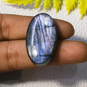 Peut inclure: Pierre précieuse de labradorite ovale et polie. La pierre présente des nuances de bleu, de violet et de gris avec des lignes internes. La pierre est tenue entre les doigts, avec un feuillage jaune en arrière-plan.