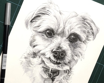 Custom Pet Portrait, Dog Portrait, Pet Gift, Pet Memorial, Pet personalized gift, drawings from photos,  Pen and Ink, Hand Drawing, birthday