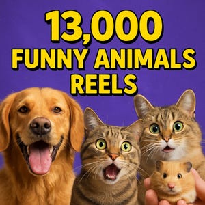13,000+ Viral Funny Animals Reels Pack | Hilarious Short-Form Videos for TikTok, Instagram, YouTube Short | Content Creation & Resell Rights