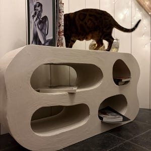 May include: A light gray, modern, sculptural coffee table with rounded cutouts. Books and a cat are on top of the table. The table is made of a solid material and has a matte finish. The table is a unique piece of furniture.
