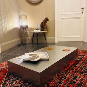 Op de afbeelding: Een rechthoekige metalen salontafel met een geborstelde afwerking staat op een rood tapijt met patronen. Twee kleine, vierkante leren onderzetters en een stapel tijdschriften liggen op de tafel. Een kat zit op de achtergrond.