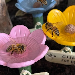 Puede incluir: Primer plano de tres bebederos para abejas con forma de flor en rosa, azul y amarillo. Cada flor tiene una abeja encima. Cada bebedero tiene un pequeño letrero que dice "CUPS FOR BEE".