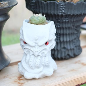 May include: A white, monster-themed planter with red eyes, holding a small green cactus. The planter has a detailed, textured design. Other planters are visible in the background.