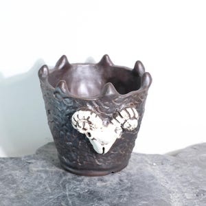 Peut inclure: Pot de fleur en céramique brun foncé avec une texture et un motif de crâne de bélier blanc. Le bord du pot a des pointes. Mesure environ 15 cm de haut, idéal pour l'intérieur ou l'extérieur.