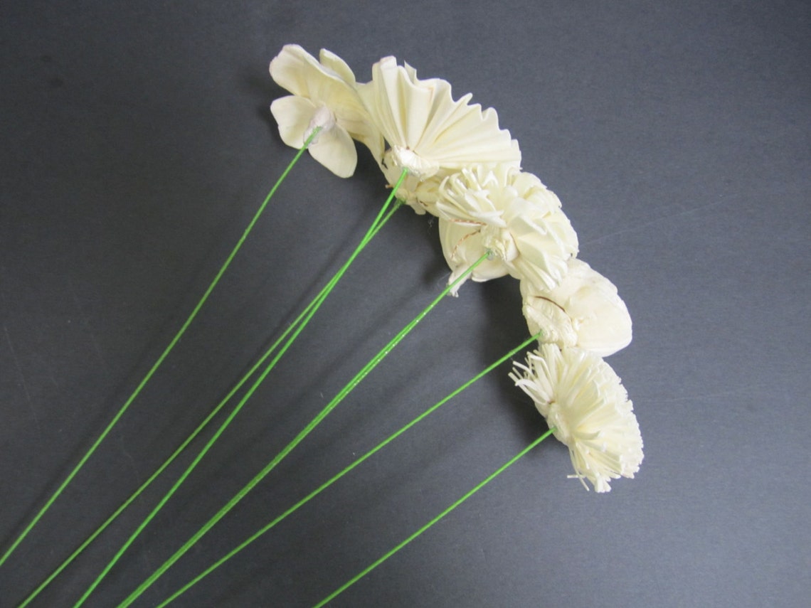 Sola flowers with stems 24 total Mix of styles Etsy