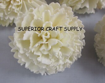Sola Carnation Flowers -- Set of 12