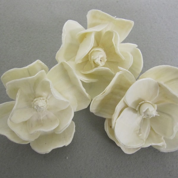 Sola Magnolia Flowers  -- Set of 12 -- Natural Color