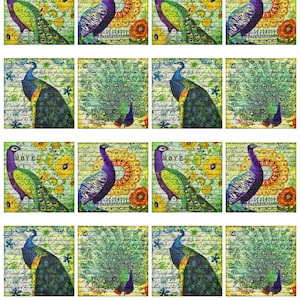Peacock Bird, Feather, Purple, Blue, Green, Yellow, Orange, Red, 4&quot;, 3.5&quot;, 2&quot; & 1&quot; Squares Instant Download JPEG (16-12)