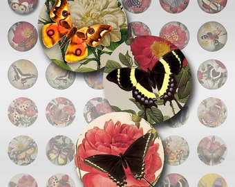 May include: Twenty-four round, colorful paper craft embellishments featuring butterflies and flowers. The embellishments are perfect for scrapbooking, card making, and other craft projects.
