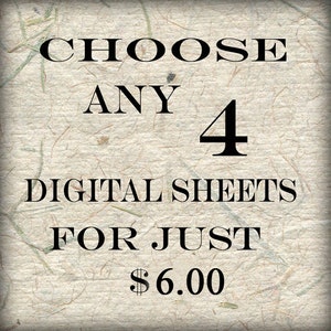 SPECIAL SALE  Bundle 4 Collage Sheets of Your Choice (S-4)