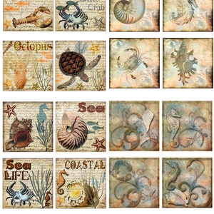 Ocean Sea Instant Download Seashell Lobster Seahorse Turtle Blauwe Krab Zeester 2 Inch Vierkante Afbeelding JPEG (16-22)