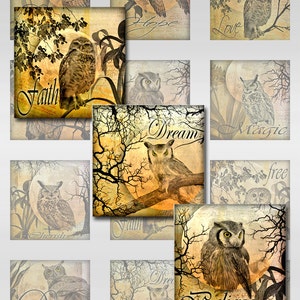 Owl Moon Inspirational Words Ephemera Botanical Instant Download for Glass Resin Scrabble Tile Pendentifs 2,1 pouces Square JPEG Images (S-24)