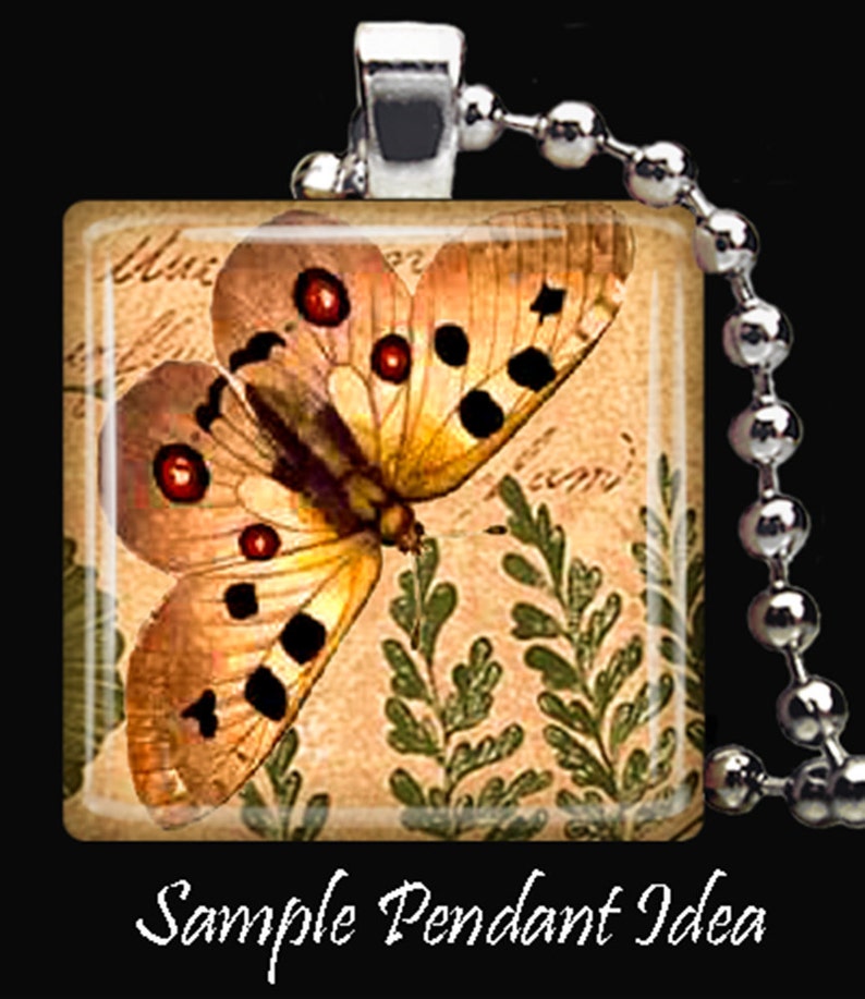 Dragonfly Butterflies Woodland Theme Squares Instant Download 1 Inch Resin Glass Scrabble Tile Pendants Digital JPEG Images MA-21 image 3