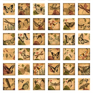 Dragonfly Butterflies Woodland Theme Squares Instant Download 1 Inch Resin Glass Scrabble Tile Pendants Digital JPEG Images MA-21 image 2