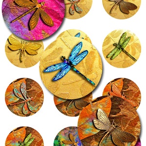 Dragonfly Round Circles Instant Download Digital Images 5 Pages of Sizes JPEG (12-42)