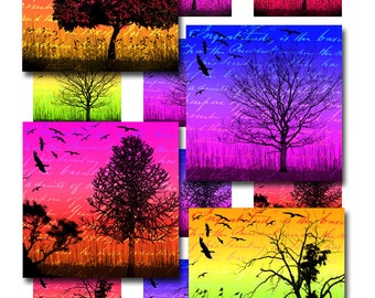 Trees Birds Ephemera Instant Download 1 and 2 Inch Glass Scrabble Tile Pendants Square Jpeg Images (12-2)