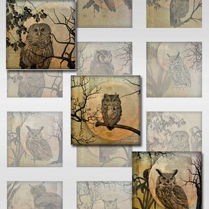 May include: A collage of twelve images featuring owls perched on branches with a full moon in the background. The owls are depicted in various poses and with different expressions. The images are in a vintage style with a faded, textured look.