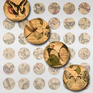 May include: Set of 36 round paper craft embellishments featuring vintage-style illustrations of butterflies, dragonflies, and floral designs. The embellishments are printed on a textured paper with a cream background and have a distressed look.