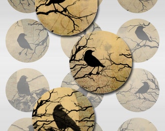 Bird Raven Crow Vintage Ephemera Botanical Instant Descargar 1,.5,2 pulgadas Digital Round Circle JPEG Imágenes (12-109)
