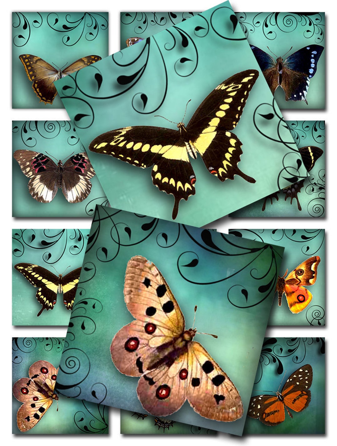 Butterflies Swirls Turquoise Water Color 1 and 2 Inch Square Instant ...