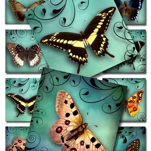 Butterflies Swirls Turquoise Water Color 1 et 2 pouces Square Instant Download pour Glass Resin Scrabble Tile Pendentifs Images JPEG (A-26-TB)