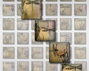 Dragonfly Moon Square Digital Images Instant Download 1 Inch Resin Glass Scrabble Tile Pendants JPEG (A-27NW)