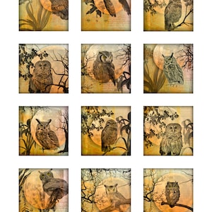 Owls Moon Tree Branches Instant Télécharger Resin Glass Coasters 2 et 4 Inch Digital Images Square 4 Pages JPEG (16-6)