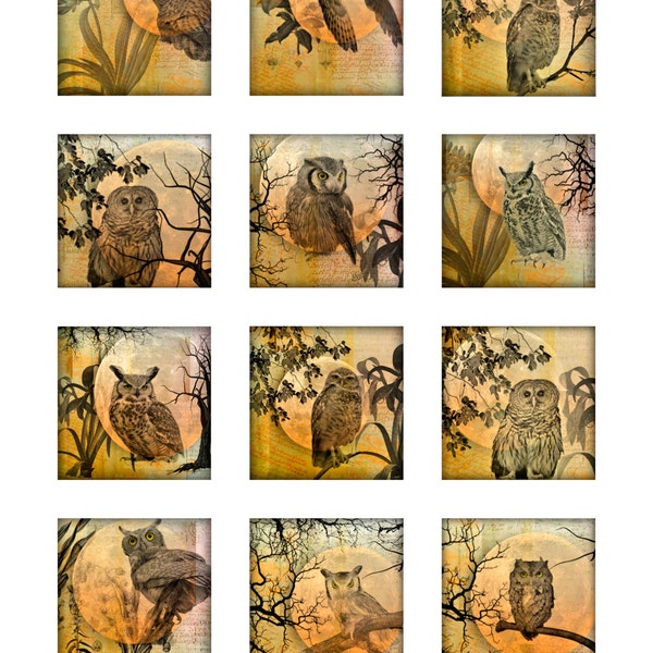 Owls Moon Tree Branches Instant Download Resin Glass Coasters 2 and 4 Inch Digital Images Square 4 Pages JPEG (16-6)