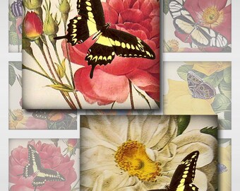 Butterfly Vintage Floral Engravings Instant Download 1 and 2 Inch Resin Glass Scrabble Tile Pendants Square JPEG (MA-82)