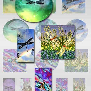 May include: A collection of digital art pieces featuring dragonflies. The images showcase dragonflies in various settings, including against a backdrop of a moon, a rainbow, and abstract backgrounds. The color palette includes blues, greens, and purples.