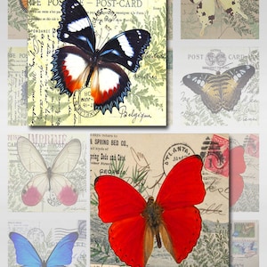 Instant Download Schmetterling Motte Vintage Post-Karten, Harz Glas Scrabble Fliesen Anhänger 1,2,2.5 Zoll quadratische Bilder JPEG (MA-25)
