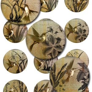Colibris vintage Ephemera Botanical Rounds pour pendentifs en verre et en résine Téléchargement instantané de plusieurs tailles (12-29)