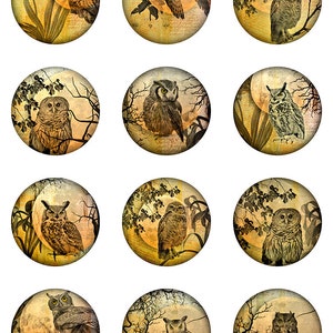 Owl Moon Ephemera Botanical Instant Download 1, 1.5, 2 Inch Rounds Circles for Glass and Resin Pendants S-23 image 2