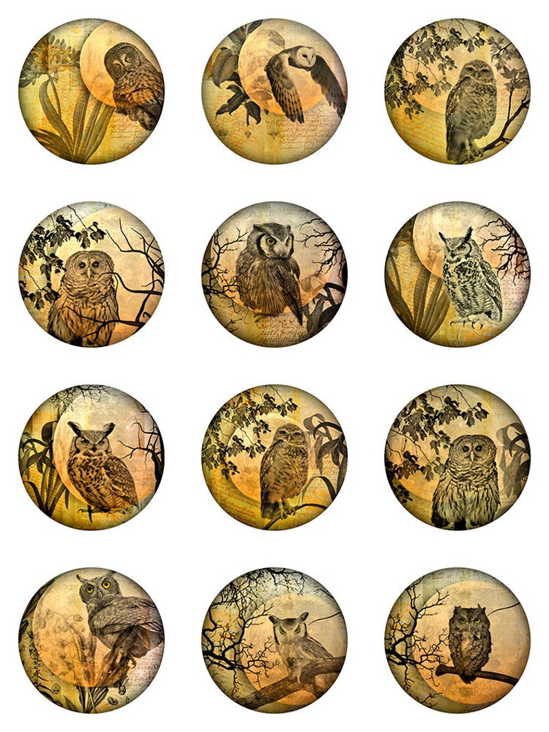 Owl Moon Ephemera Botanical Instant Download 1, 1.5, 2 Inch Rounds Circles for Glass and Resin Pendants S-23 image 2