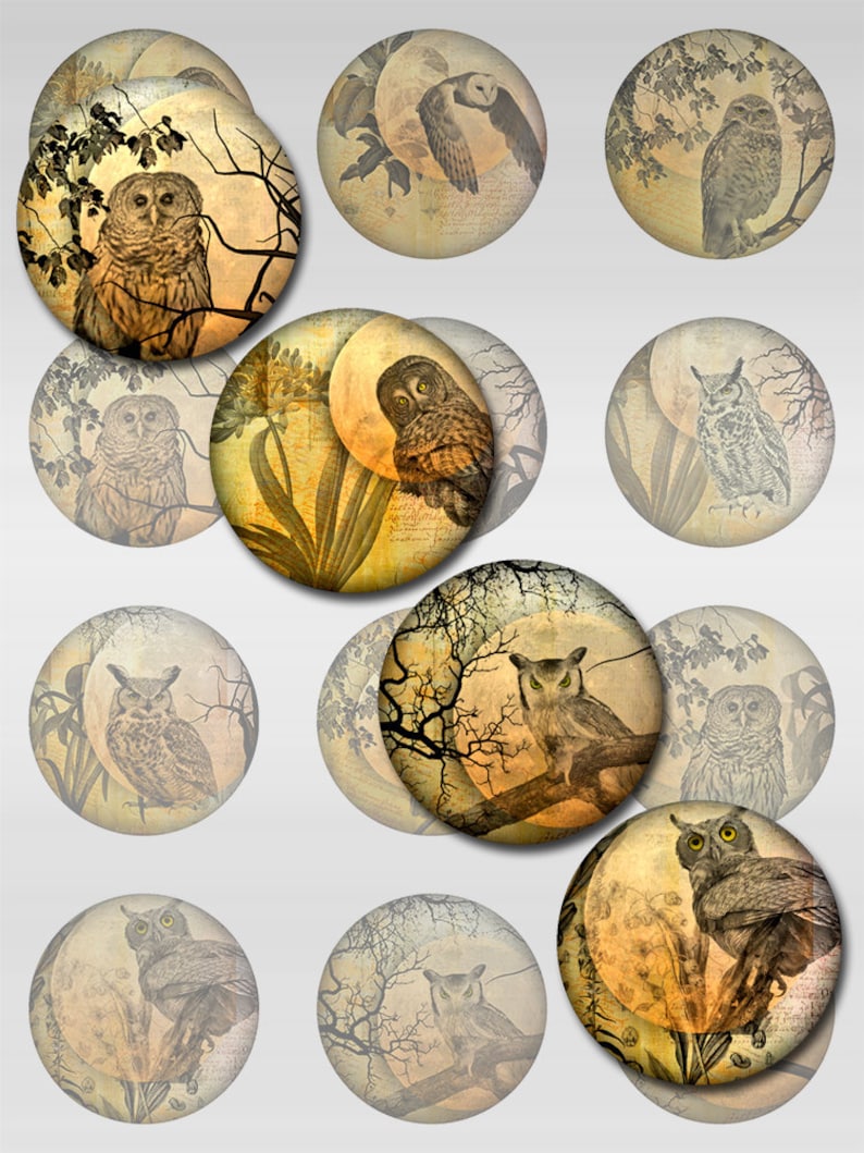 Owl Moon Ephemera Botanical Instant Download 1, 1.5, 2 Inch Rounds Circles for Glass and Resin Pendants S-23 image 1