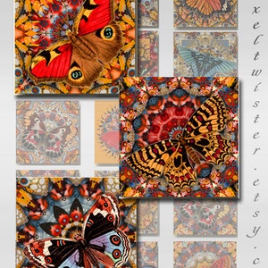 Butterfly Mandala Squares Instant Download Resin Glass Scrabble Tile Pendants 1 and 2 Inch Digital Images JPEG (JU-202)