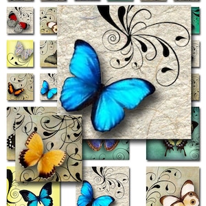 Butterflies Swirls 1 inch and 2 inch Squares Instant Download Digital Collage Sheet  JPEG Images (A-29-12)