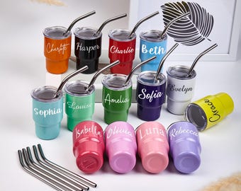 Gepersonaliseerde roestvrijstalen mini-beker 3oz, aangepaste naam reismok, gunst bruiloft, vrijgezellenfeest cadeau, borrelglas